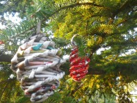 /album/cistells-de-paper/imgp1872-jpg/